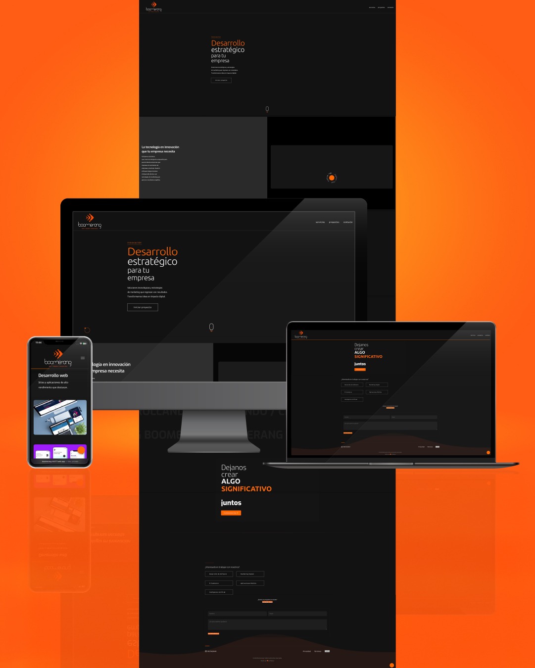 Desarrollo Web Boomerang